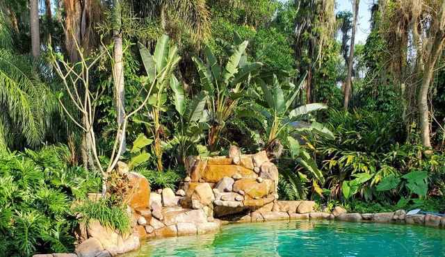 Cabin over the Water's Edge-Stilts included