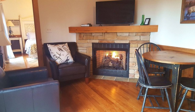 Cabin Rental near Elkins, WV- Hot tub: Sauna : Wifi : Gas-log Fireplace