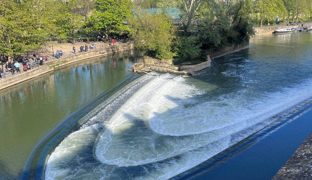 Cabin Retreat Close to town centre and train station, 12 min train to Bath.