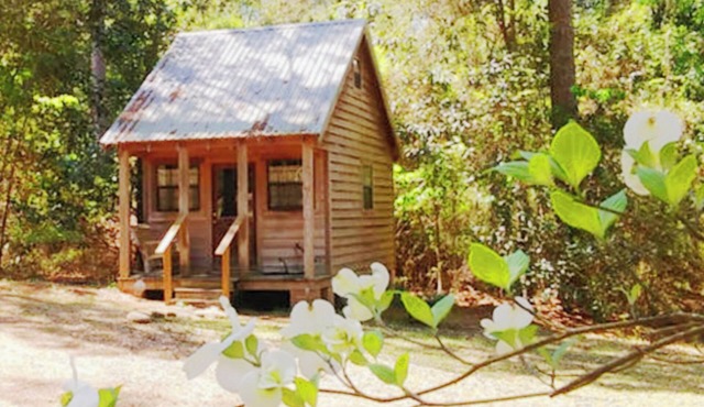 Cabin retreat on 11 wooded acres W of Alexandria; AC WiFi smart TV; 14 night min