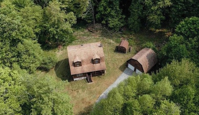 Cabin Roscoe 5 acres. Trendy, Cozy ,Fish on the Beaverkill, hunt, kayak, hiking