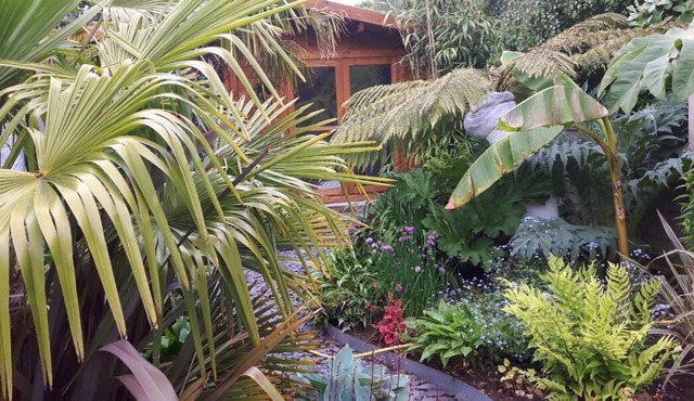 cabin set in a beautiful romantic tropical garden