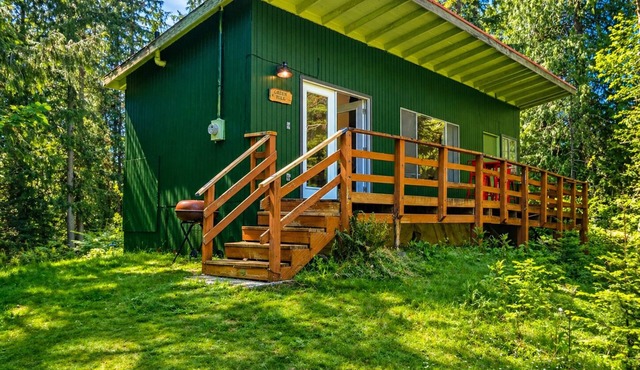 Cabin Steps from Mt. Rainier Park