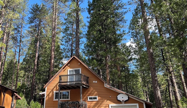 Cabin surrounded of beautiful nature for creating memories w/family or friends.