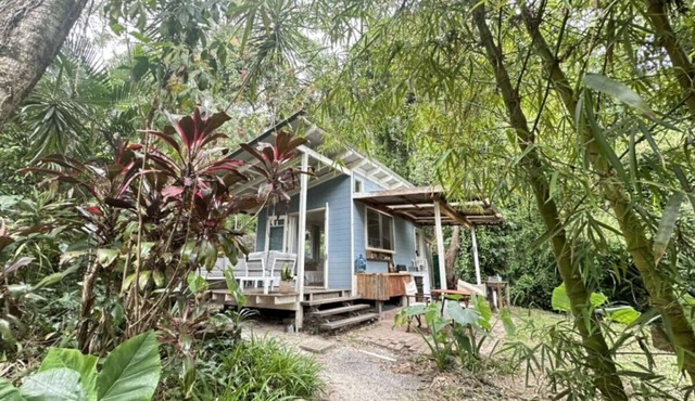 Cabin the Near the Sea