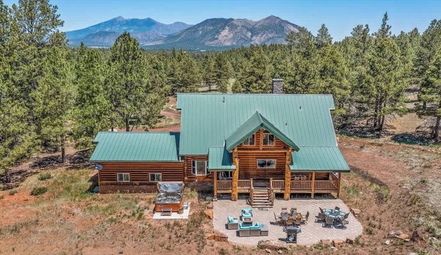 Cabin | Updated | Hottub | Theater | Forest Backin