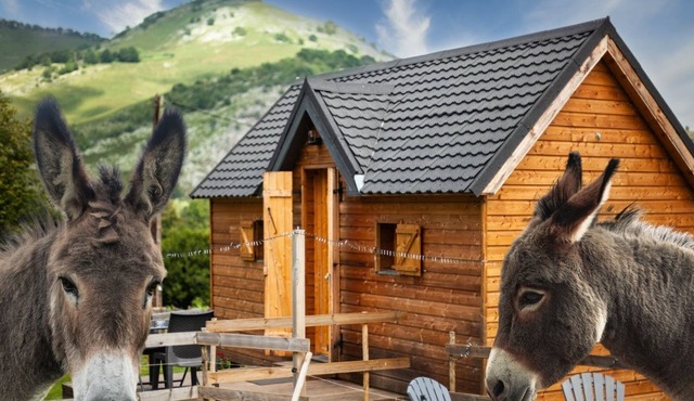 Cabin view on the mountain