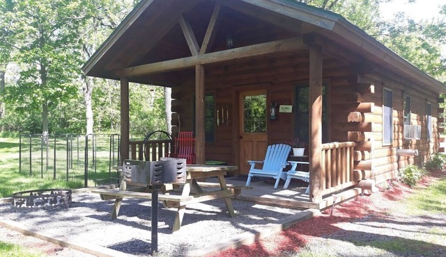 Cabin w private hot tub - dog-friendly