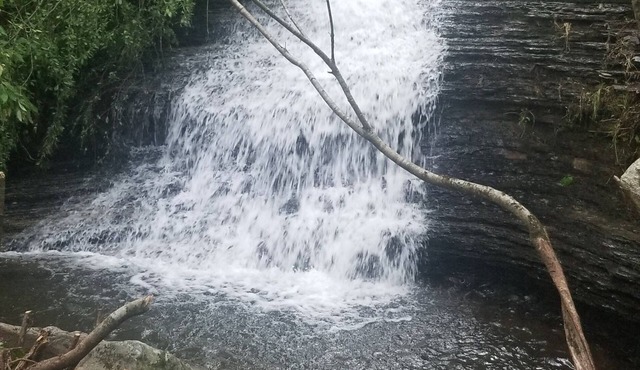 Cabin with 3 private water falls. Close to Buffalo River & Branson