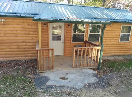 Cabin with a tree house on a buffalo farm .
