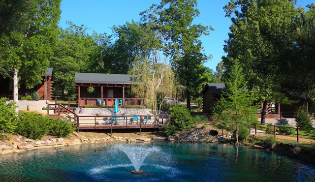 Cabin with a view #8