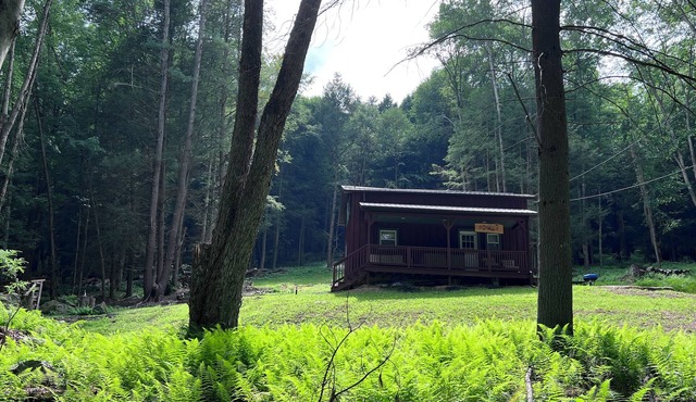 cabin with hot tub in Benezette - Perfect for a cozy getaway