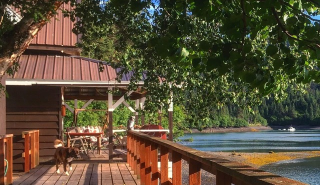 Cabin with incredible sunset views of Halibut Cove!