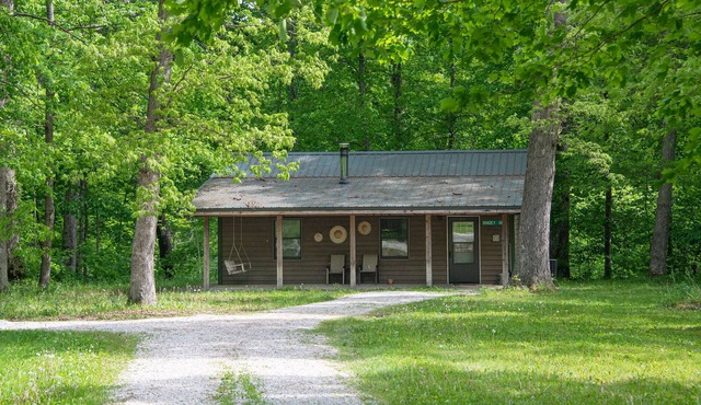 Cabin with Kitchen, Whirlpool Tub & Bonfire Pit Near Starved Rock State Park