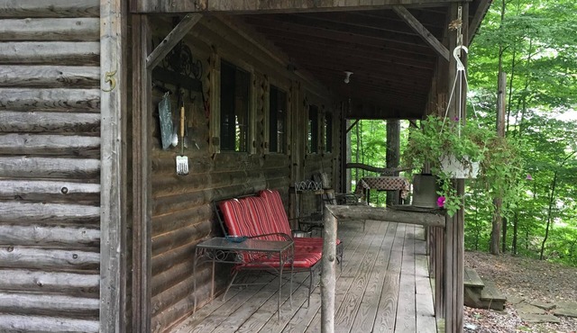 Cabin with lake views and beach access!