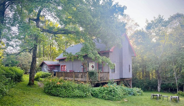 Cabin with yard, fireplace, pet friendly, near Boone, New River