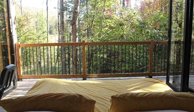 Cabin Zoobox 55