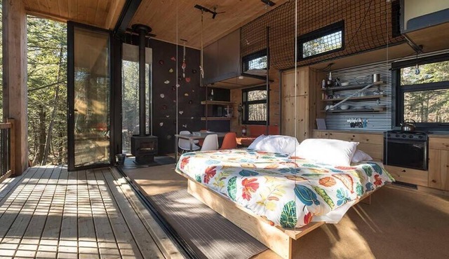 Cabin Zoobox 67