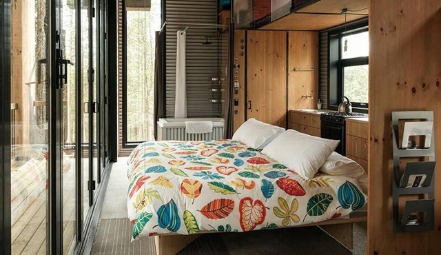 Cabin Zoobox 84