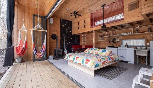 Cabin Zoobox des cervidés