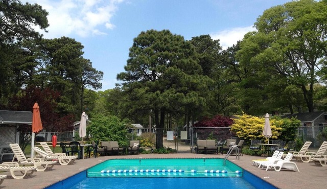 Cabin3 sleeps 2. LOCATION!FUN! Kitchenette, porch, grill, pool, good pet welcome