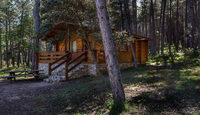 Cabins El Llano de los Conejos - Cabin 4