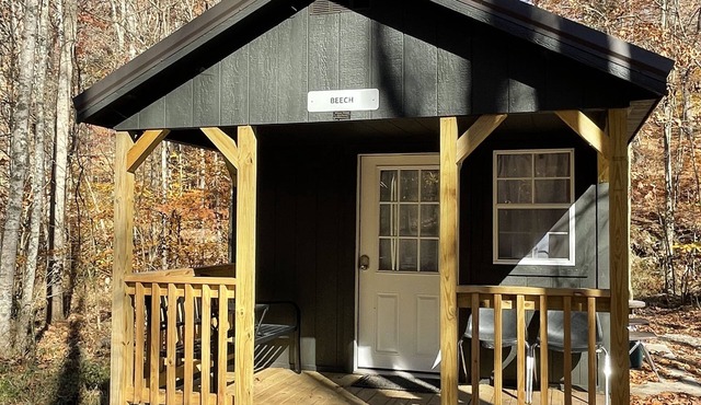Cabins in a Clearing: Beech, Walnut & Chestnut - check all three