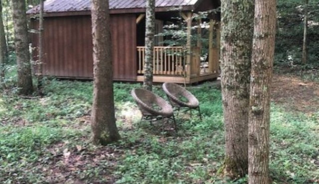 Cabins in a Clearing : Chestnut, Walnut and Beech - check all 3 cabins