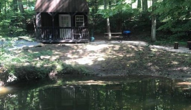 Cabins in a Clearing: Walnut, Chestnut & Beech - Check all three