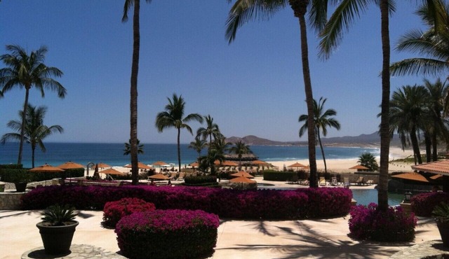 Cabo Real Contemporary 3 BR BA Condo with Golf