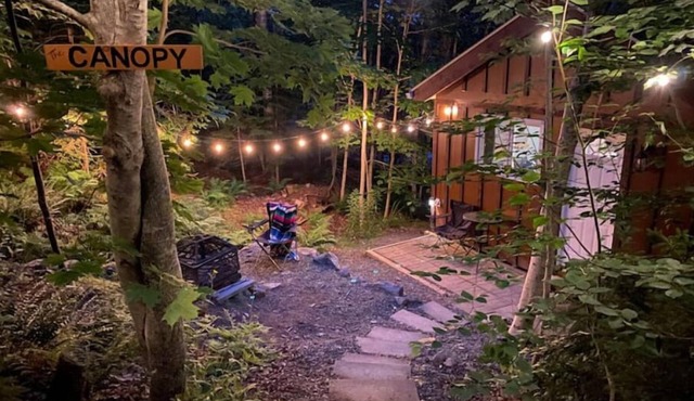 Cabot Trail Seaside Cabin - The Canopy