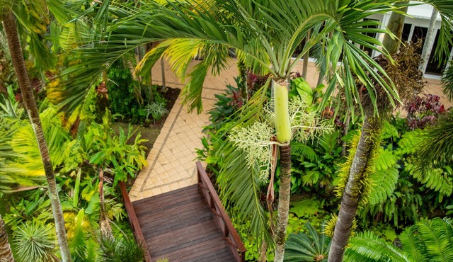 Cairns Harbourside Hotel