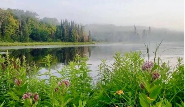 Cajun Cabin Private Nature Resort