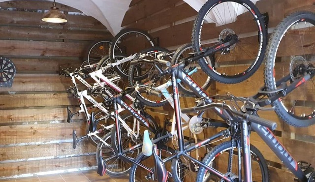 Cal Curpets - Bicicletas FREE