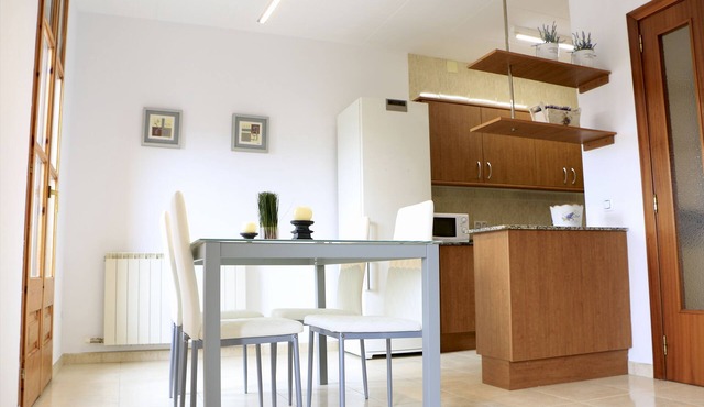Cal Fassi apartment ampli i lluminós a la Segarra