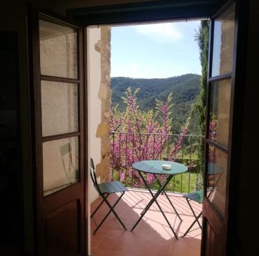 CAL TÒFONES, 1er 1a. Apartament turístic a Borredà, 08619-Barcelona
