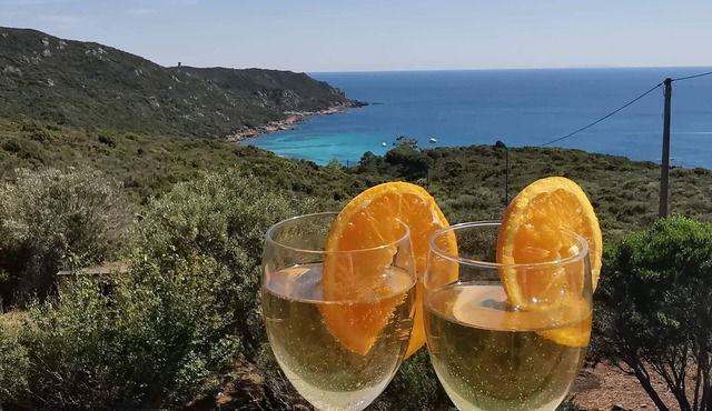 Cala d'Orzu chalet with private pool, sea view and Capu-Neru tower