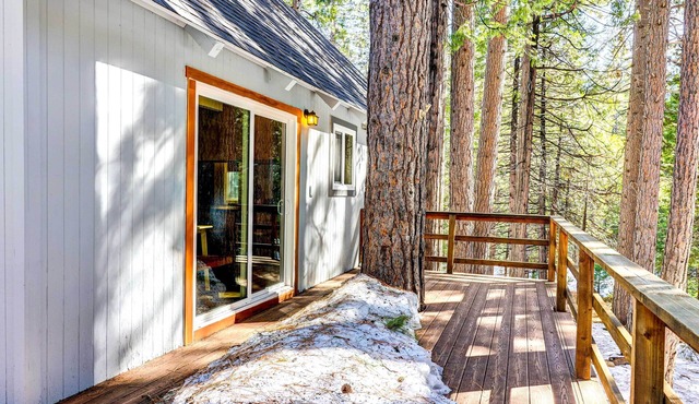 California Cabin Rental - Hike, Ski, Boat!