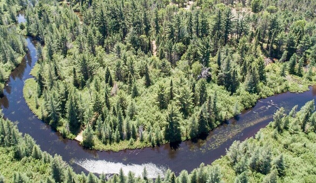Callahan's Goose Creek Lodge - Private Riverfront with Kayaks and Canoes!