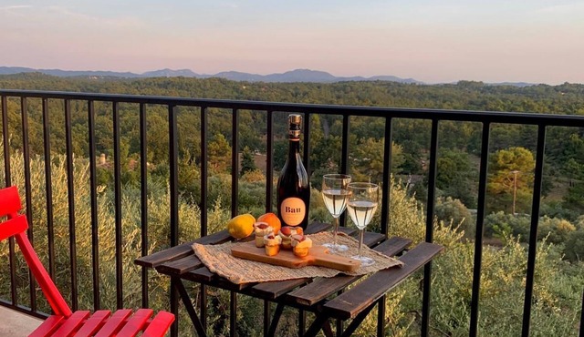 Callian - Enchanting view for this beautiful independent studio.