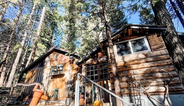 Calling all Adventurers! Charming Rustic Cabin in Perfect Location!