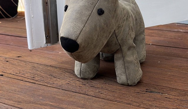 Callistemon Cathos Beach Cottage 8 mins walk to beach (dog-friendly)