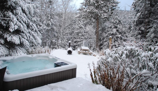 Calm and Nature Chalet