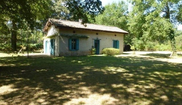 Calm and serenity in the heart of the pines