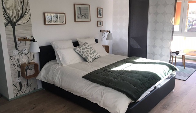 Calm and Zen independent studio