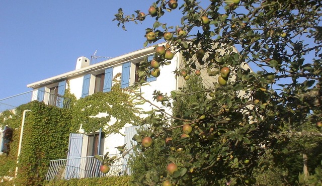 calm freshness in the mountains just 30 minutes from the sea, in the Corsican Natural Park