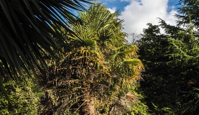 Calm Private Annex Ideal to Work, Rest & Explore