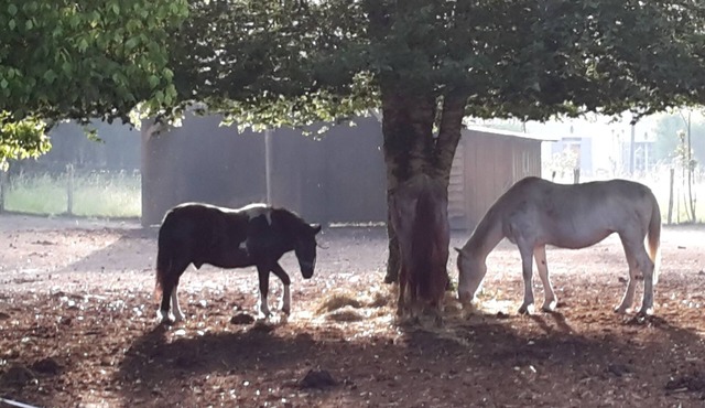 Calm, serenity and nature are the watchwords of our guest rooms