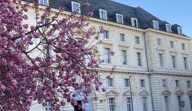 Calm & serenity - Hypercentre Amiens - Historic residence - Public parking lot