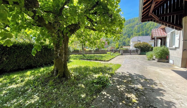 Calm, spacious and relaxing holiday home in the heart of the Vosges mountains